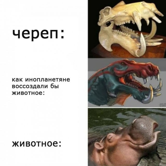 Шонизавр: Крупнейший морской ящер в истории. 80 тонн и запутанное прошлое. Как жила такая махина?