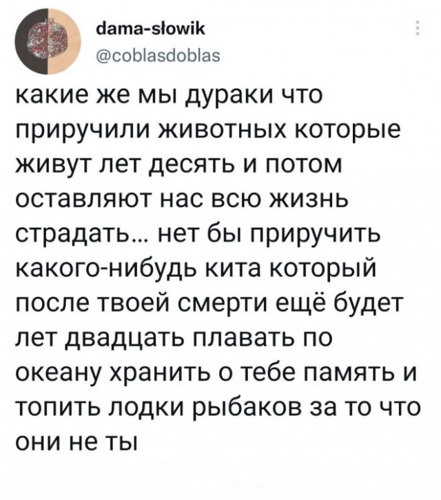 Картинки и мемы для настроения - 123