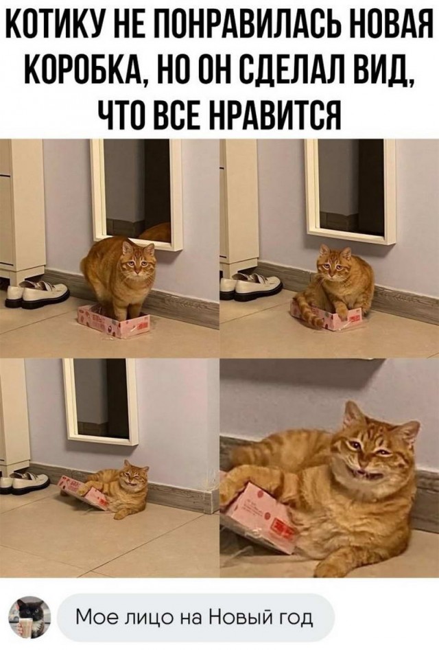 Немного картинок для настроения - 131
