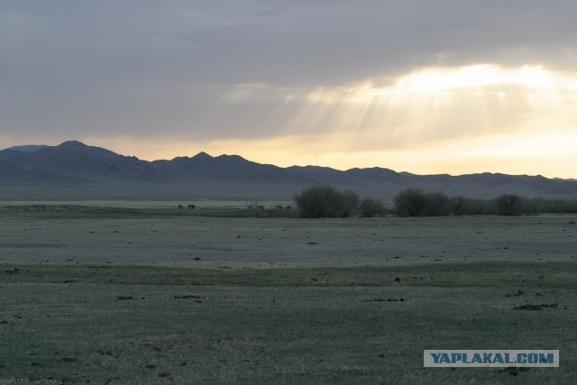 В Монголию на мотоциклах 2006
