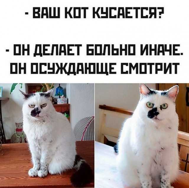 Всего понемногу. От 30 апреля