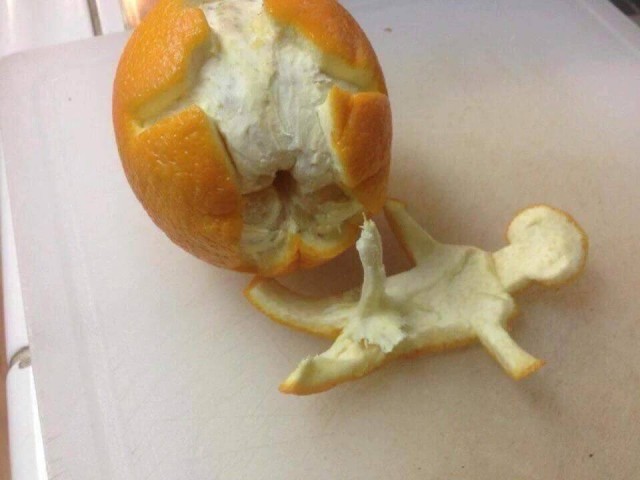 Апельсин живой?