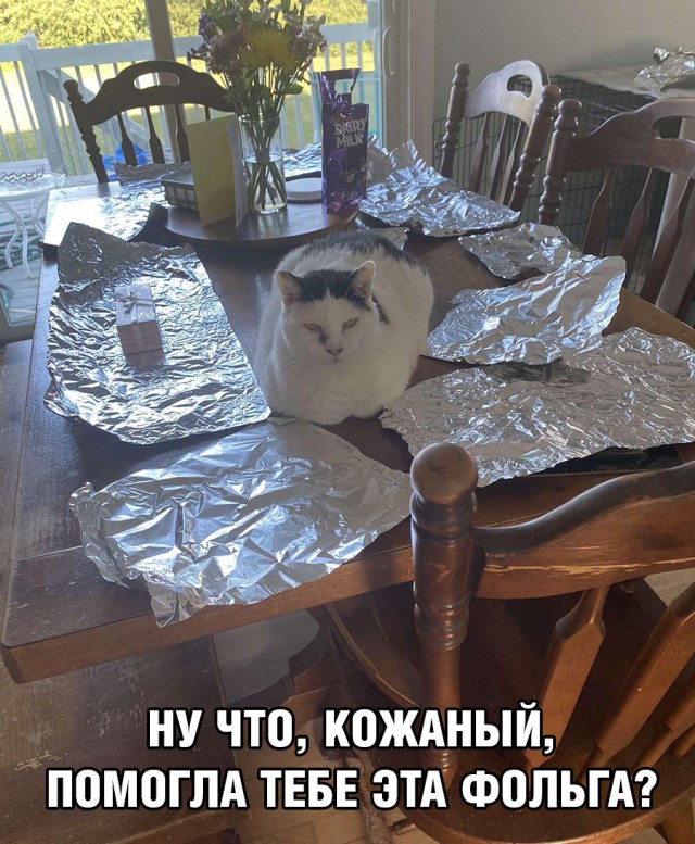 Немного картинок и прочей хреноты Vol. 24