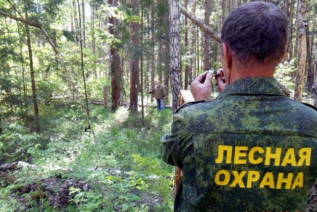 Россиян предупредили о девятилетних тюремных сроках за сбор редких грибов