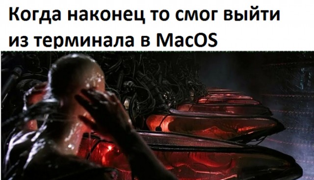 Околоайтишные мемчики