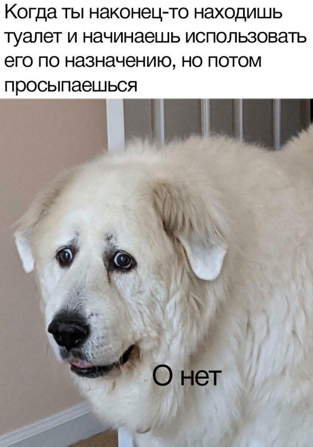 Всего понемногу. От 22.05.2024