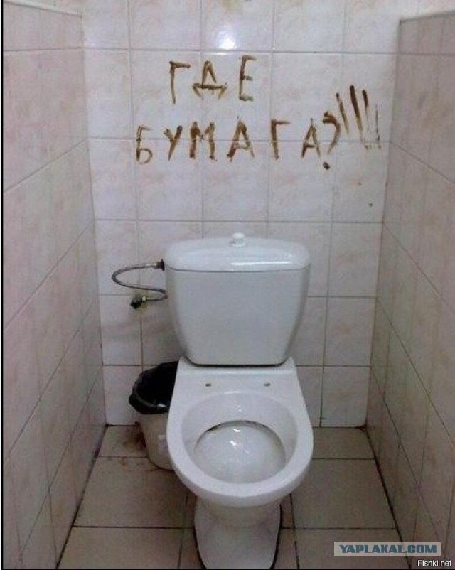 В России разработали смываемую втулку для туалетной бумаги
