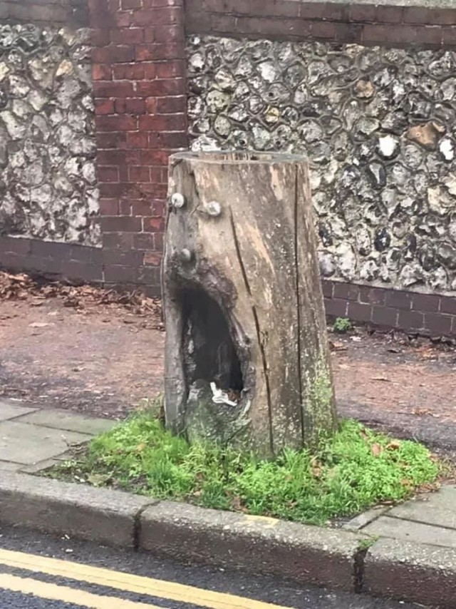 ФотоВинегрет