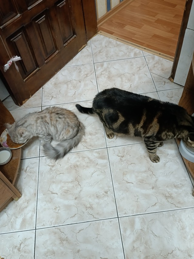 Блин. На меня пацан обиделся!