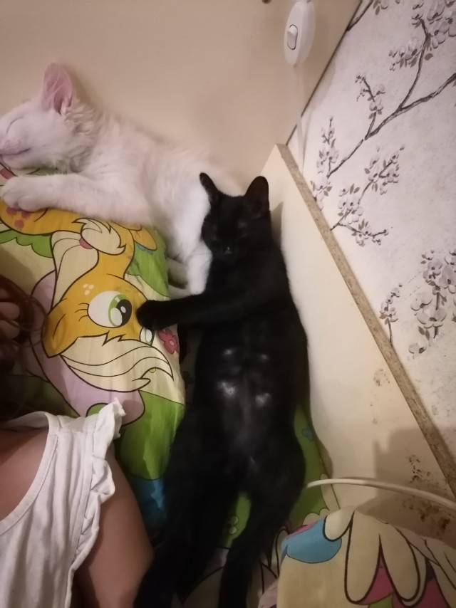 День и ночь