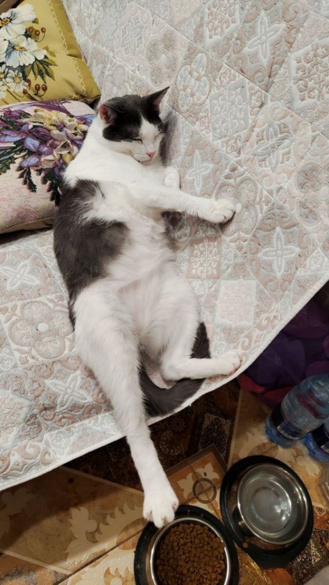 Мои гопники