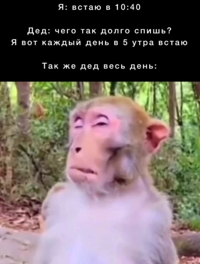 Веселые картинки в маленькую пятницу (02.04)