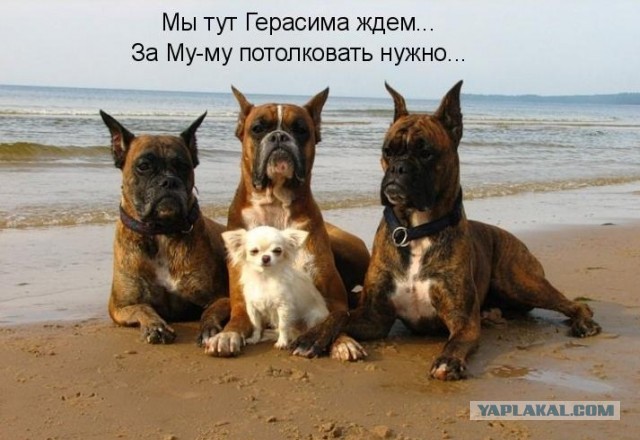 А давайте еще фотаться!