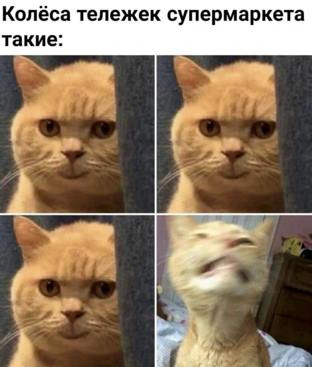 "Не судите строго, это мой первый отпуск"