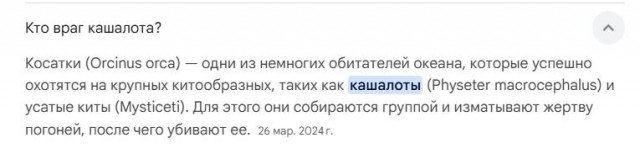 Самый грозный хищник океана не акула — его боятся даже косатки