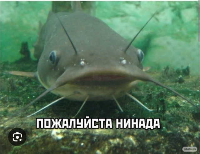 Вот это махина