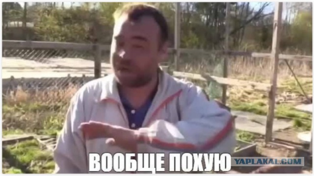 Россияне сейчас массово переживают за дом Киркорова