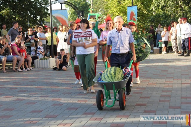 Весело жить у них там на селе