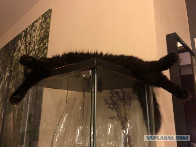 Улитко
