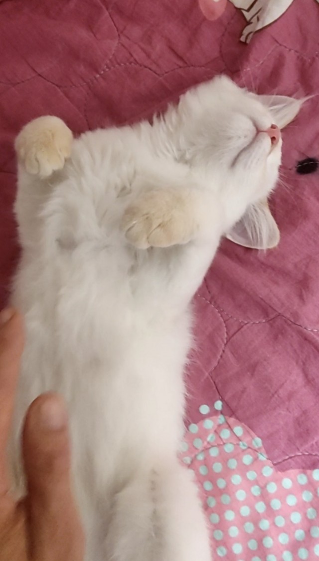 Пришëл домой