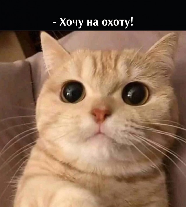 Утиная охота.