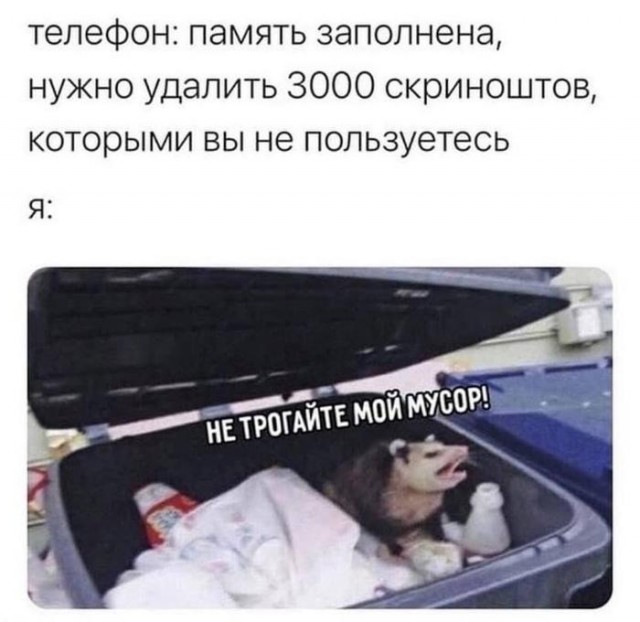 Картинки для деградации 91 (разной степени свежести)