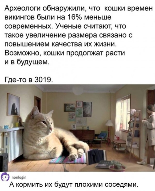 Веселые картинки в пятницу (26.12)
