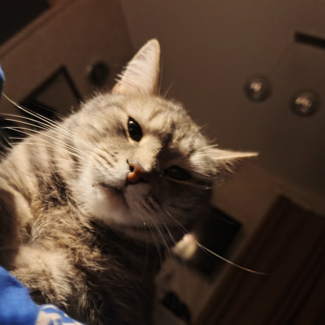 Не у дачный пост