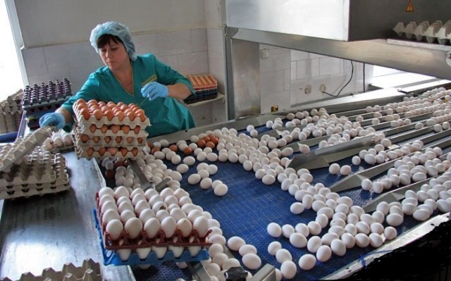 Он не поверил и проверил