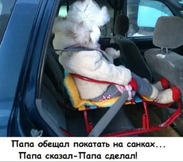 Так себе картинки 06.02.26