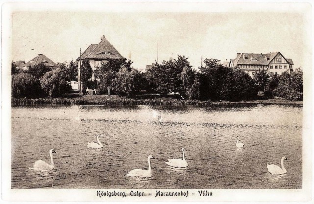 Калининград