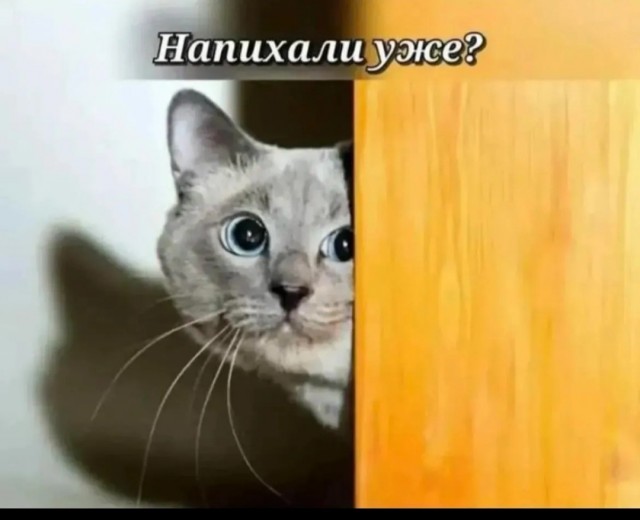 Палянвица.