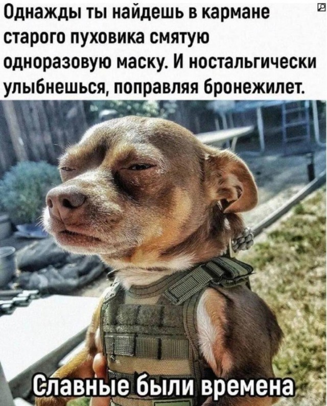 Слышь пацанчик WiFi не нужен?!