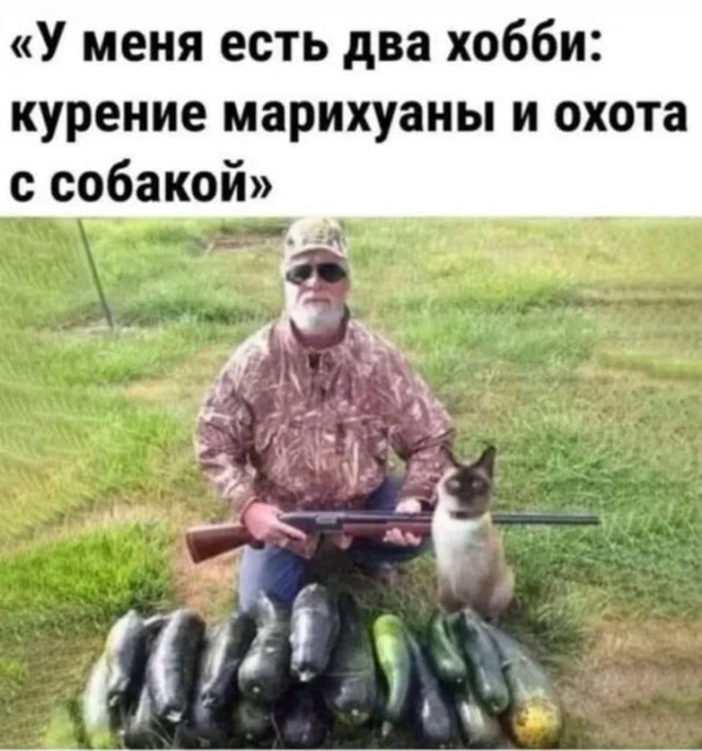 Когда у тебя два хобби