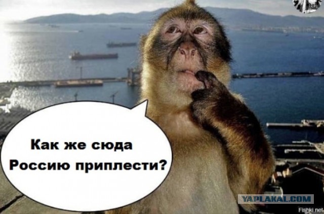 Весна в Лондоне: 28 марта 2026 года