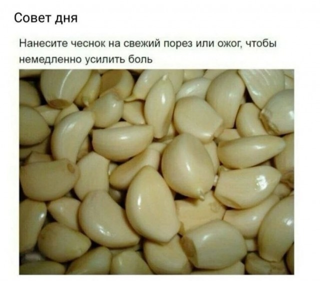 Картинки для деградации 203  (разной степени свежести)