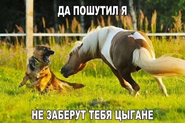 Картиночки, баянчики 25 июня