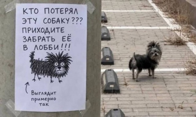 Прикольные и просто красивые картинки 03.07.2026