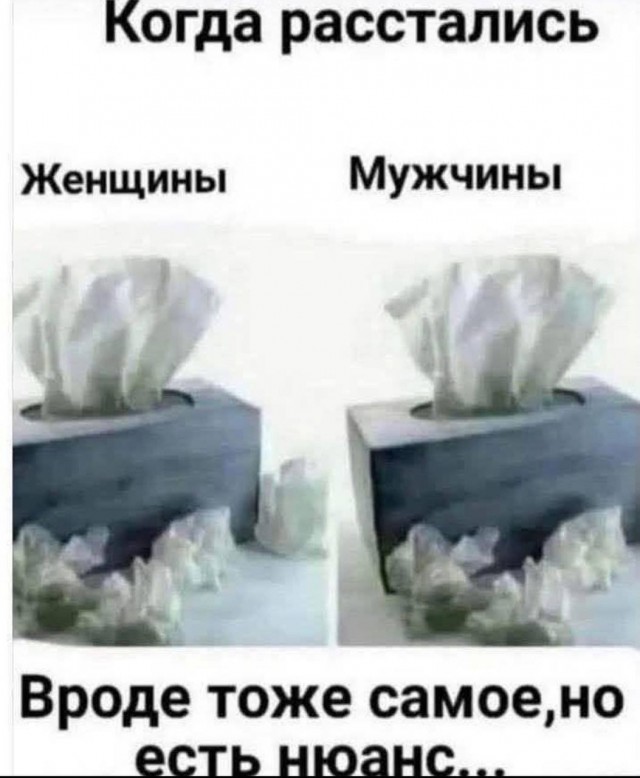 Картинки для деградации 251 (разной степени свежести)