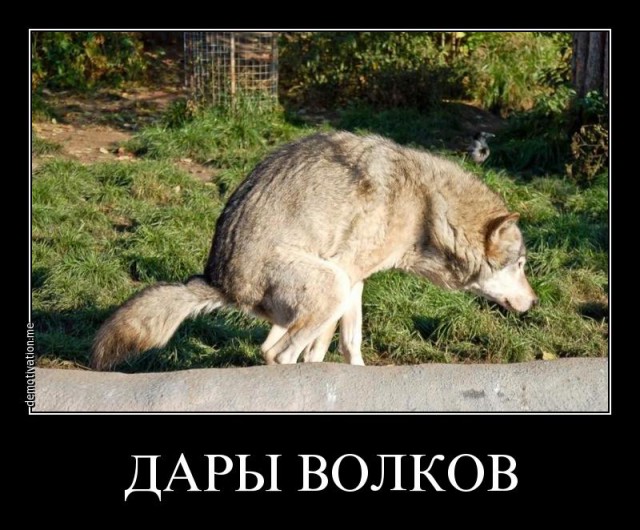 Верующие на глазах теряли человеческий облик