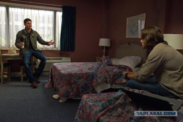 Придорожные мотели в США: цены, качество, сервис