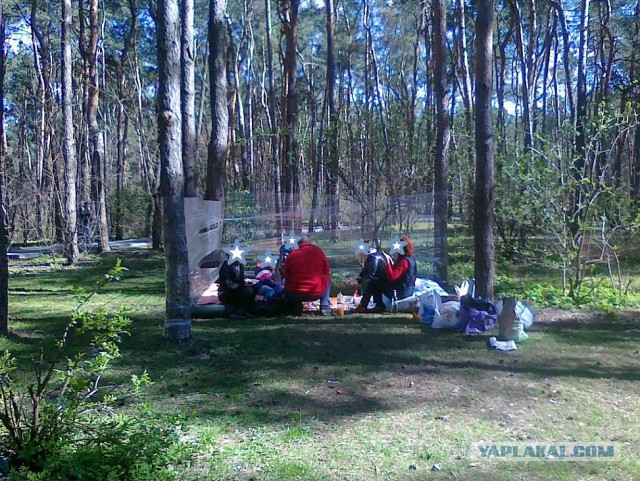 Сезон открыт!