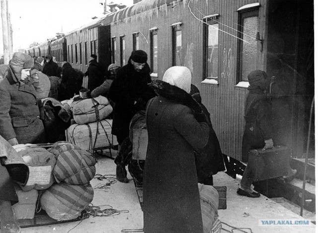 Блокадный Ленинград 1943 год