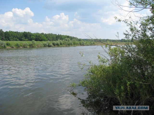 Сплав на байдарке по реке Ока.