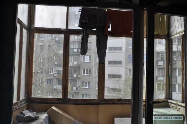 Вид из вашего окна