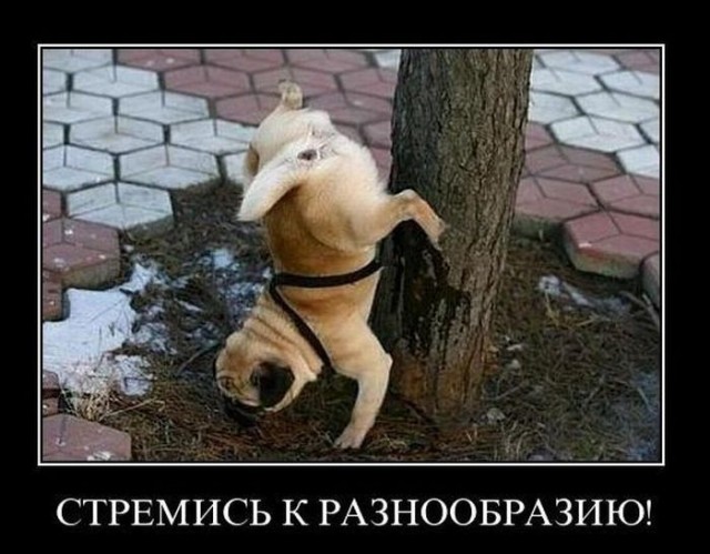 Чинно и благородно расшатал