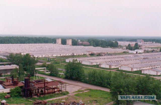 Тамбовский волк тебе товарищ...