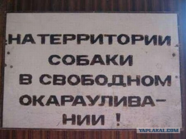 Я щщитаю давно пора.