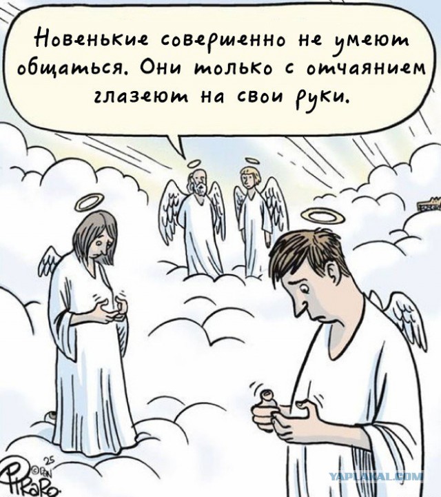 Прикольные картинки