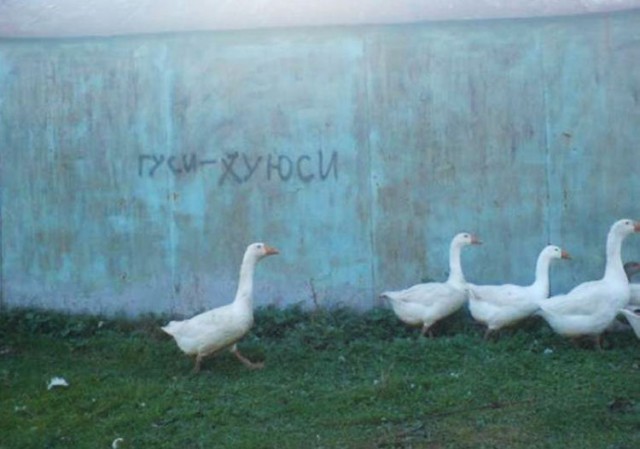Не все украинские "беженцы" полезны.